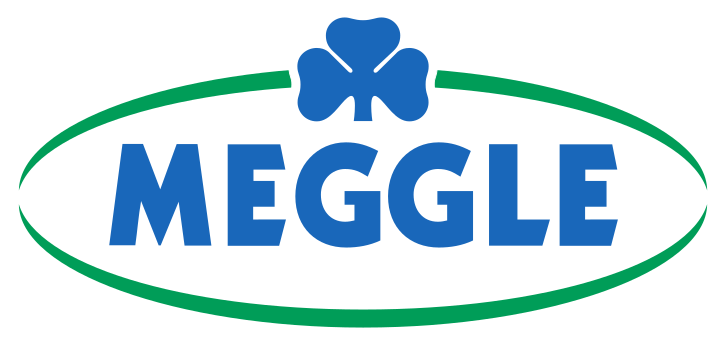 logo_meggle